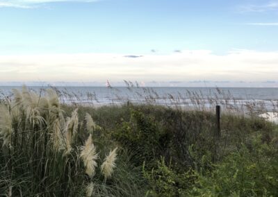 Michigan Lakeshore