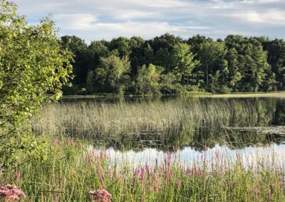 pond with woods in the background