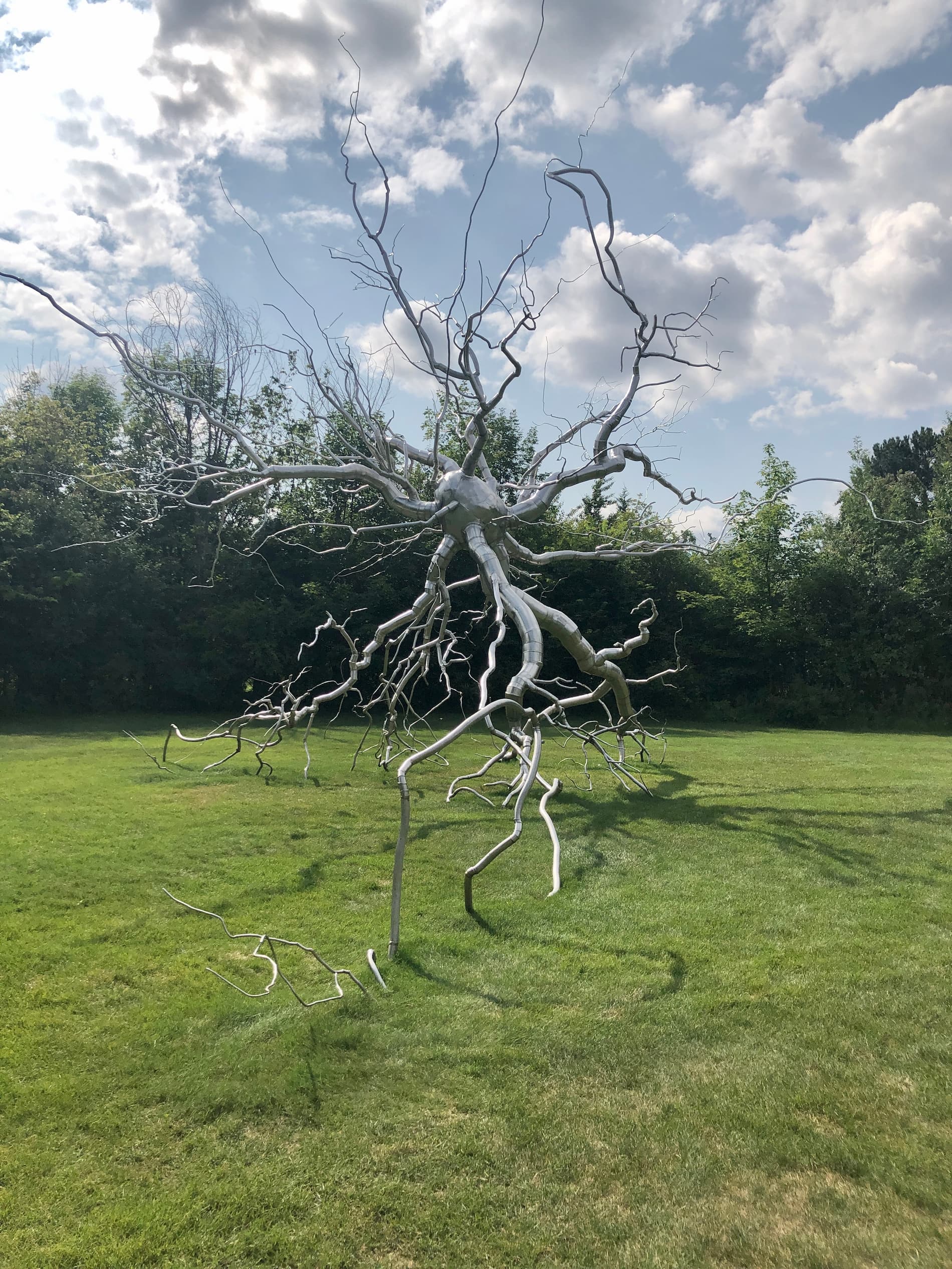 photo taken at the Meijer Gardens of a large steel sculpture titled Neuron made by the artist Roxy Paine