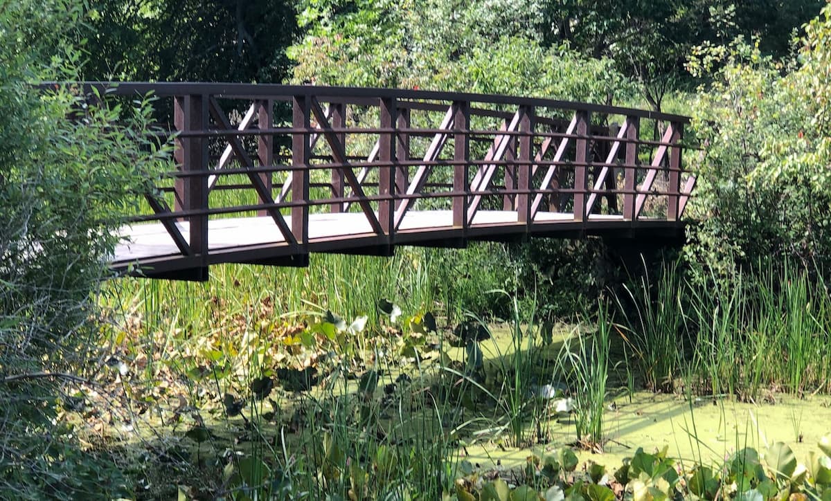 bridge over pond leading to woods