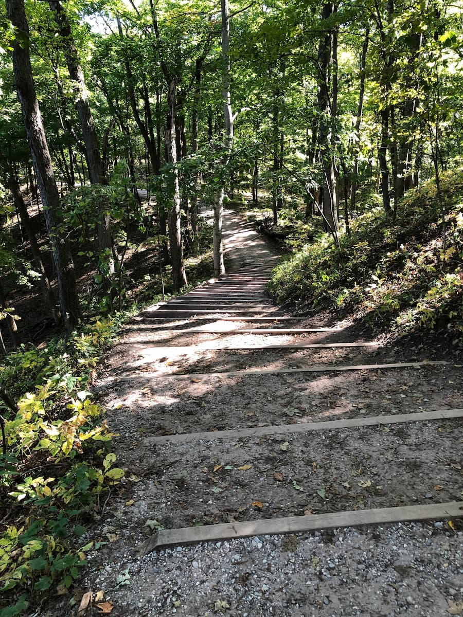 stairs on a wooded path